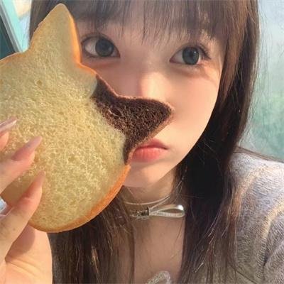 我爱猫头鹰